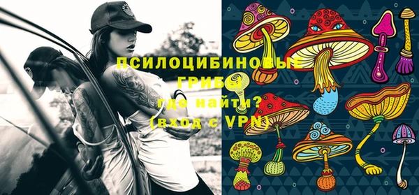 трава Елизово
