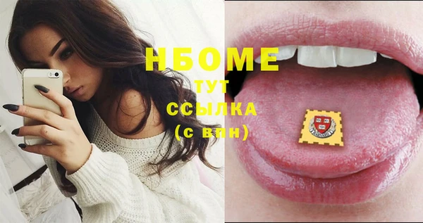 стаф Ельня
